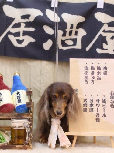 20240609ココアちゃん